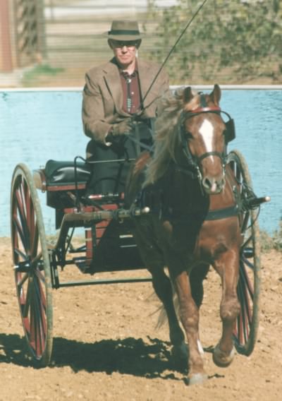 HeadOnCart